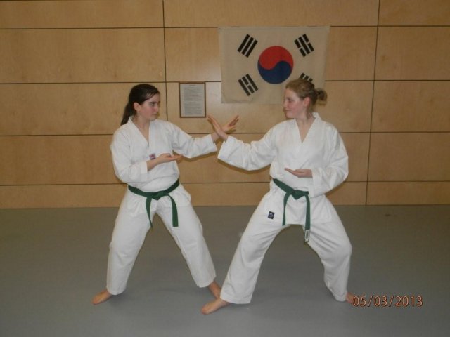 Taekwondo Training